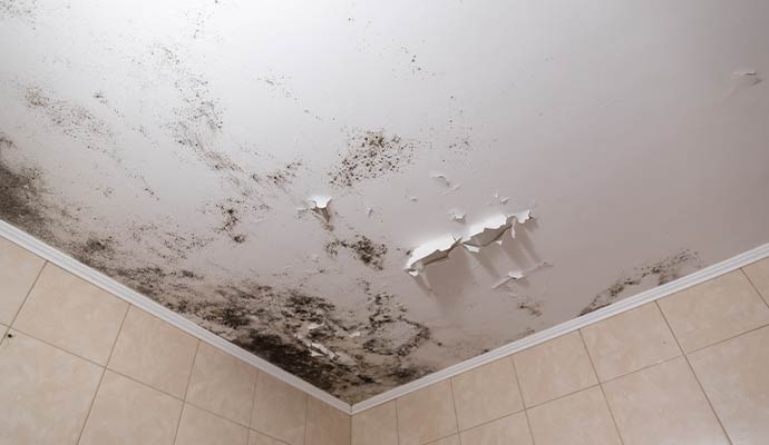 Black mold growth and peeling paint on bathroom ceiling