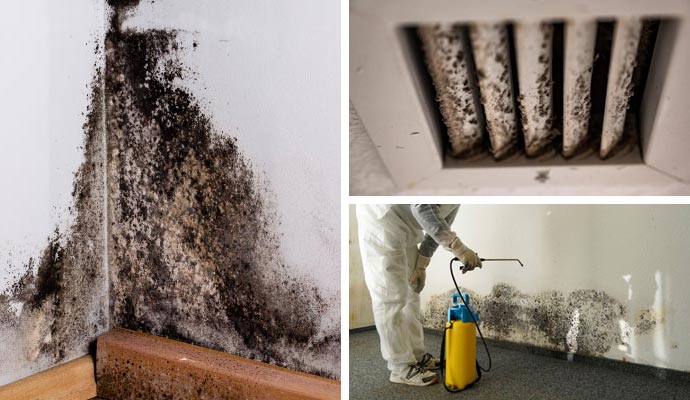 Collage of black molded wall, hvac air vent, and mold remediation service