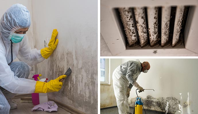 Collage of mold cleaning, remediation service and molded HVAC air vent cover