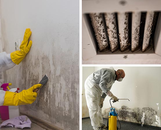 Collage of mold cleaning, remediation service and molded HVAC air vent cover