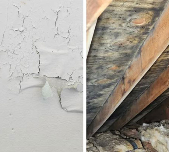 Collage of peeling paint and mold growth in attic Collage of peeling paint and mold growth in attic
