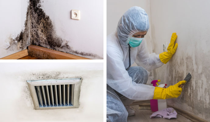 Collage of wall mold air vent mold and technician cleaning wall
