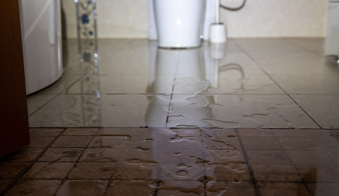 Bathroom flooding caused by sewage backup