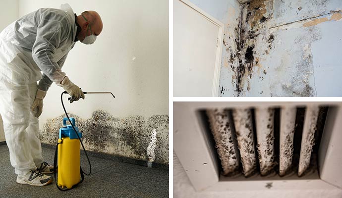 Collage of technician treating mold wall mold and moldy air vent