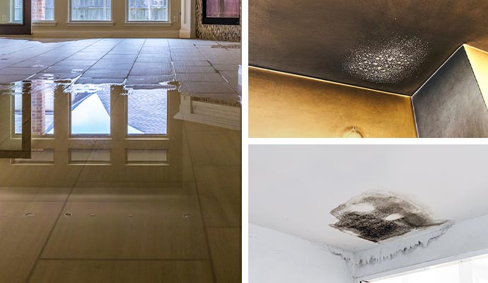 Collage of water, smoke and mold damaged property