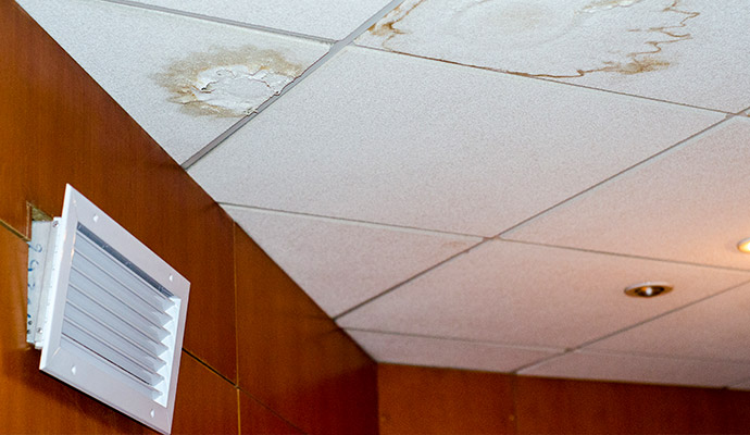 Mold on the ceiling Mold on the ceiling