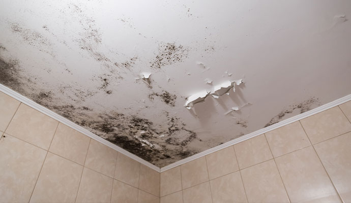 Severe mold damage on a hotel room ceiling
