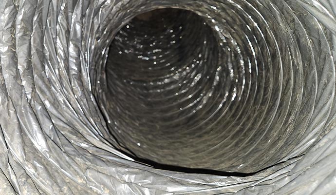 Dirty flexible air duct interior
