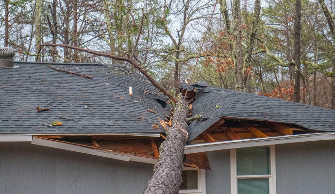 Fallen tree damaged house roof