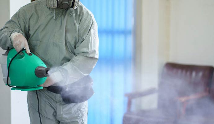 Professional pest control fogger spraying