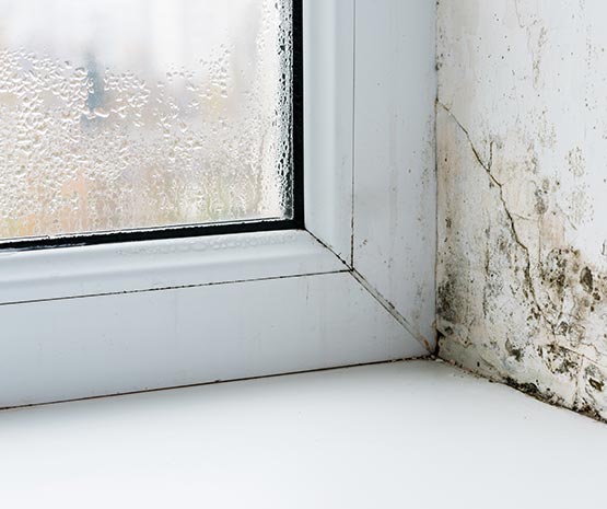 Window with heavy condensation on the glass and visible black mold growth on the adjacent
