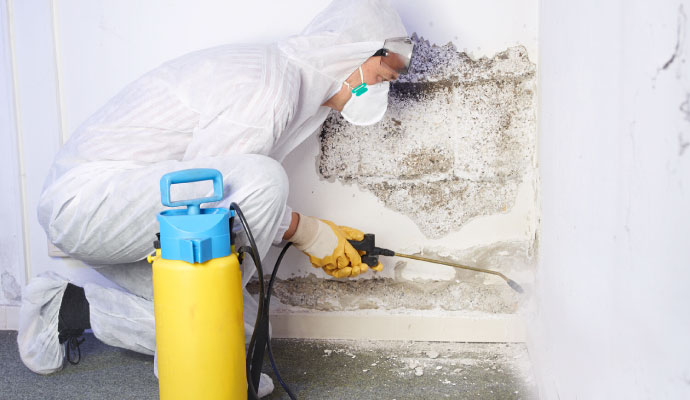 Mold remediation spray treatment