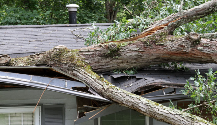 Tree fallen on roof storm damage