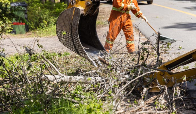 Expert worker restoring storm damage Expert worker restoring storm damage