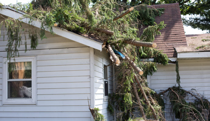 Large tree fallen on house roof causing structural damage after storm
