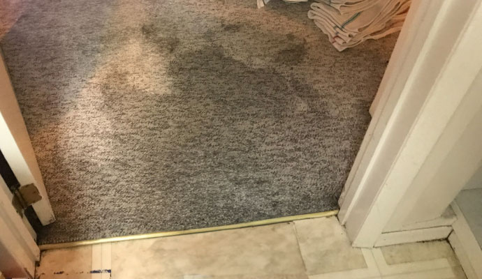 Carpet water damage near doorway