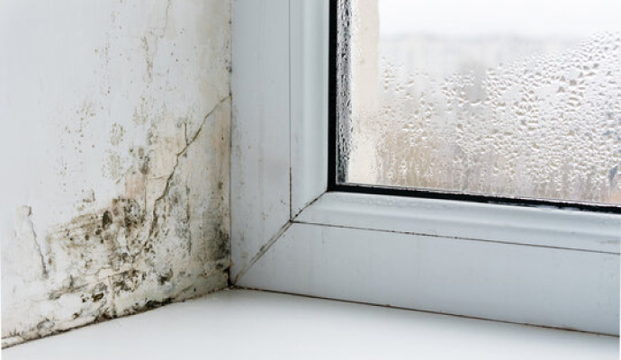 Condensation moisture and mold around window sill drywall