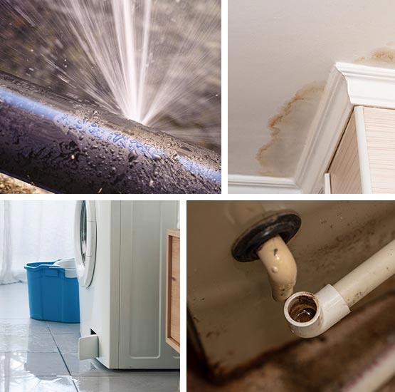 Collage of different types of water damage