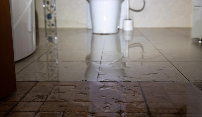 Leaking toilet