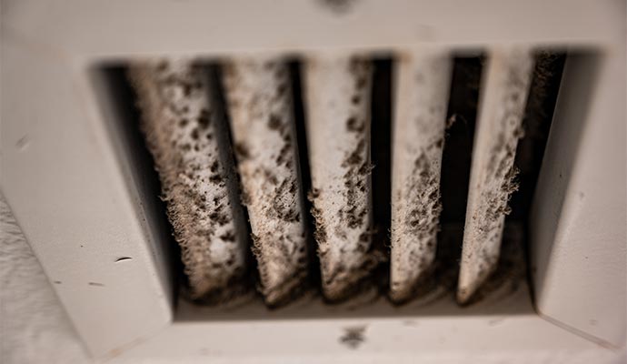 Mold damaged HVAC vent cover