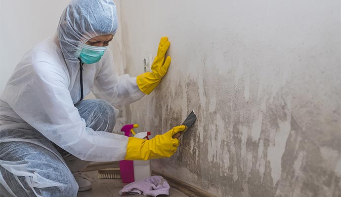 Professional removing mold using equipment