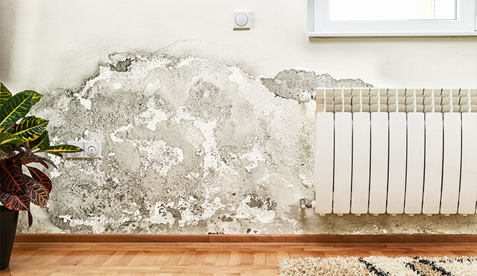 Severe water damage and peeling paint on wall beside radiator