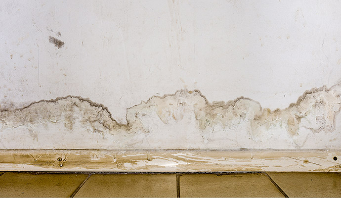 water damage and efflorescence stains on drywall above baseboard