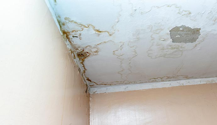 Water damaged ceiling