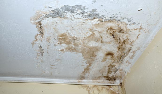 Water stain on ceiling