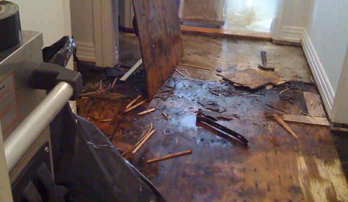 Wood Floor Water Damage Restoration in Norwalk & New Haven