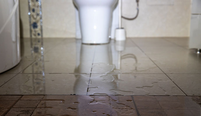 Water leaking from a toilet onto the floor